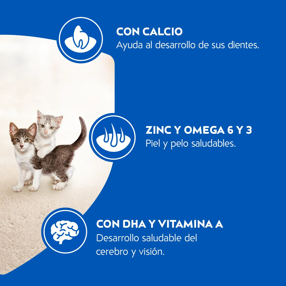 Cat Chow Gatitos 24kg