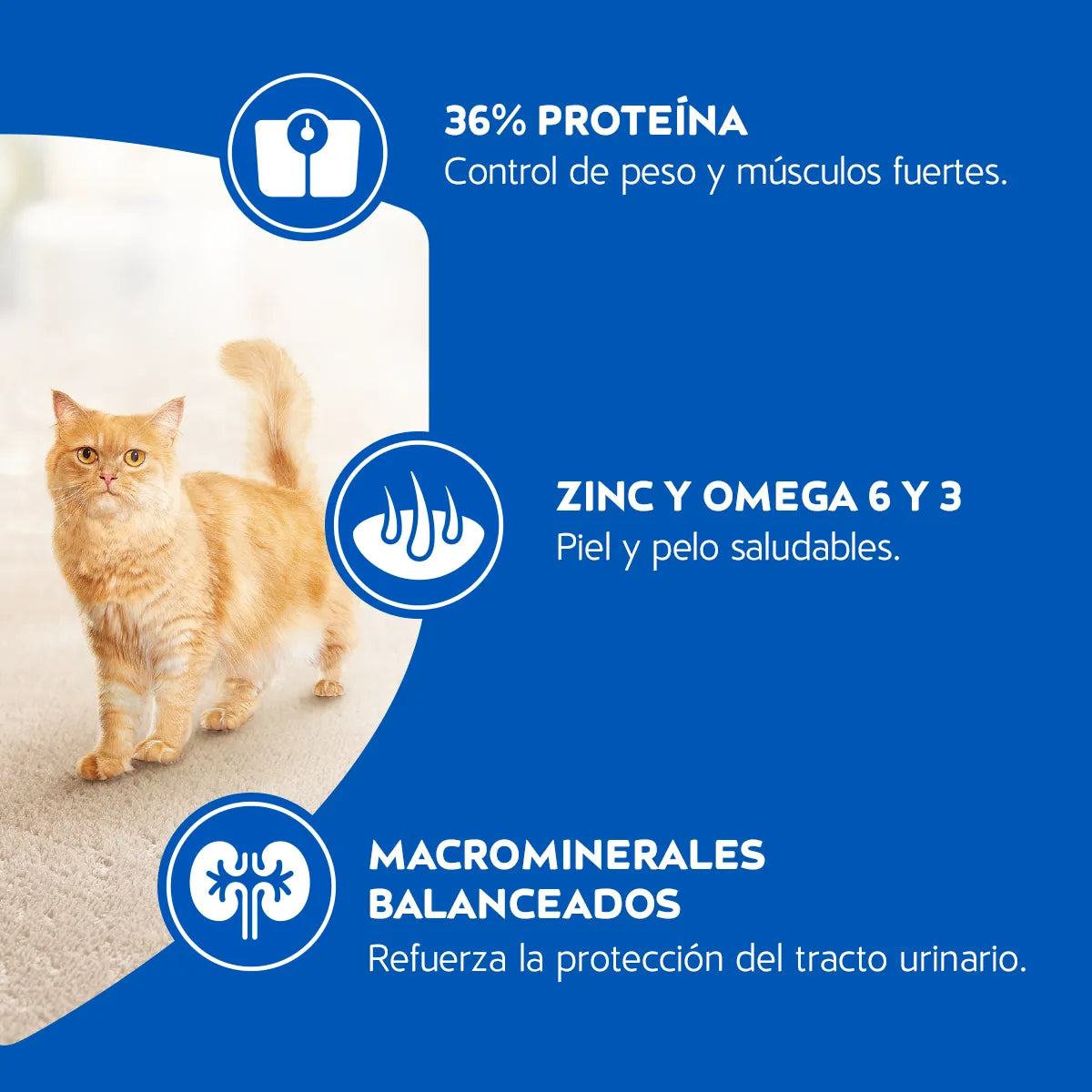 Cat Chow Esterilizado 24kg