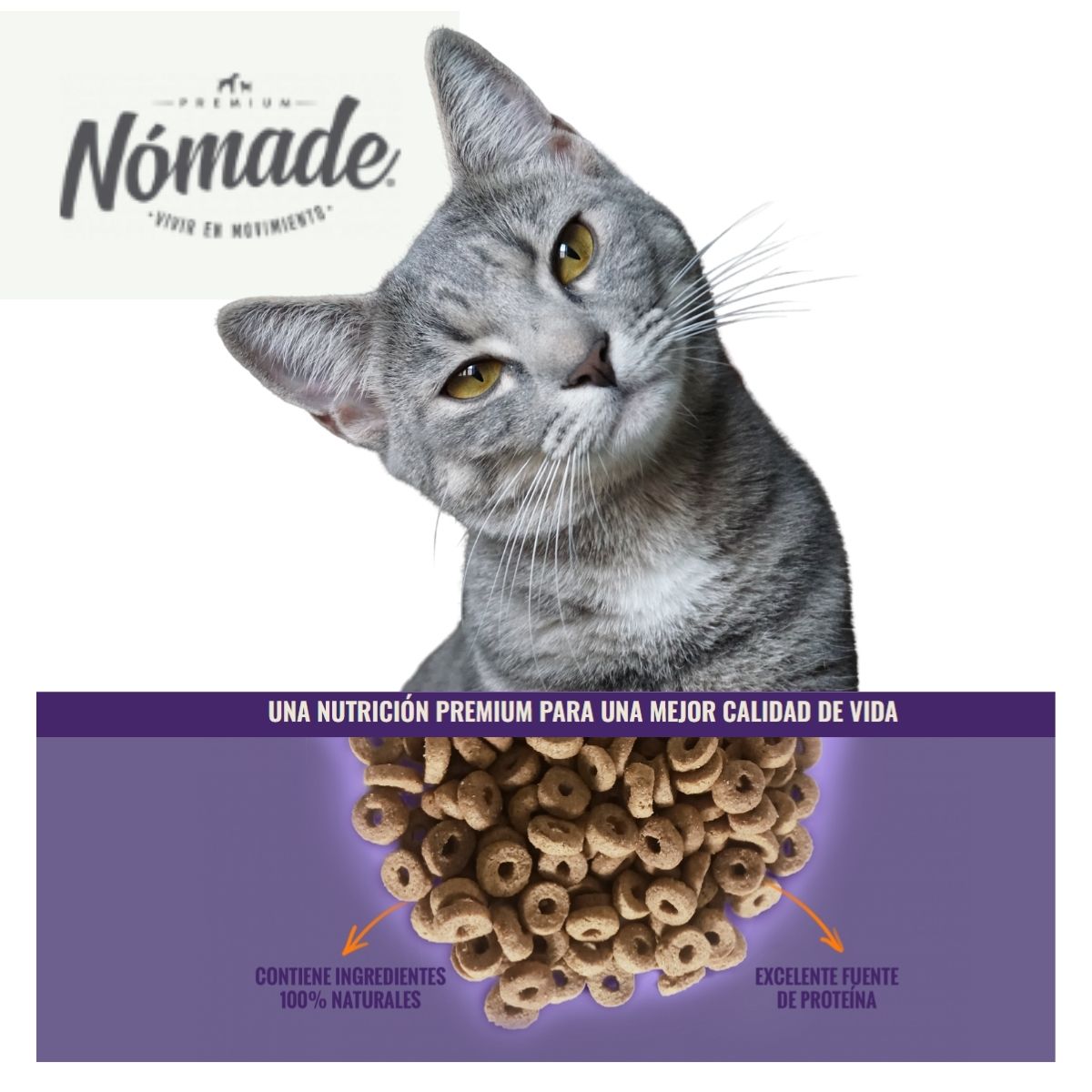 Nomade Gato 10kg