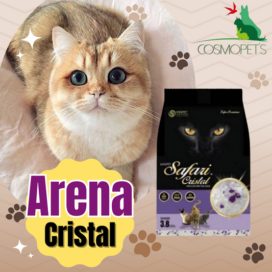 Arena Safari Cristal 3.8 litros